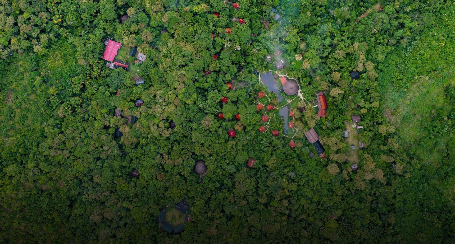 Ayahuasca-healingretreat + 5-dages integrationsretreat