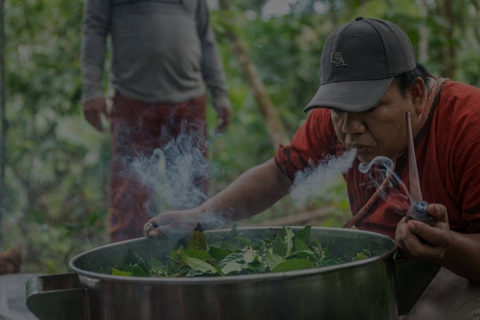 Ayahuasca-healingretreat + 5-dages integrationsretreat