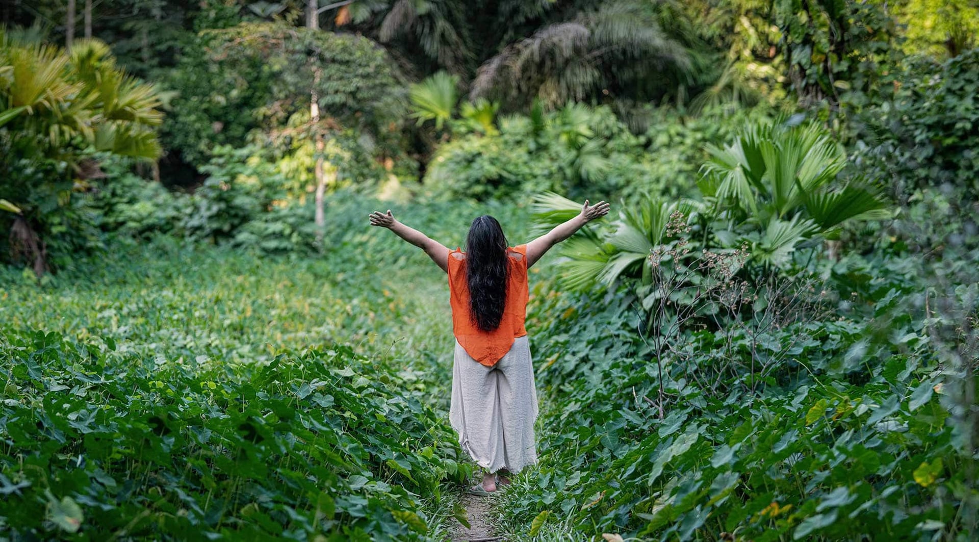 Ayahuasca-healingretreat + 5-dages integrationsretreat