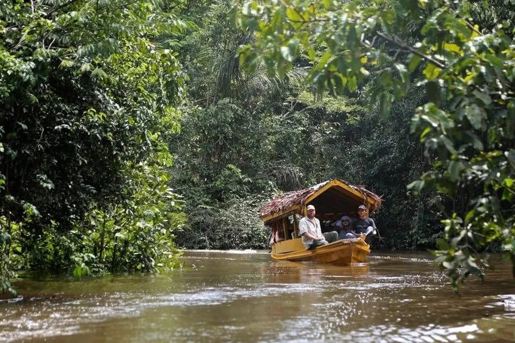 Ayahuasca-healingretreat + 5-dages integrationsretreat