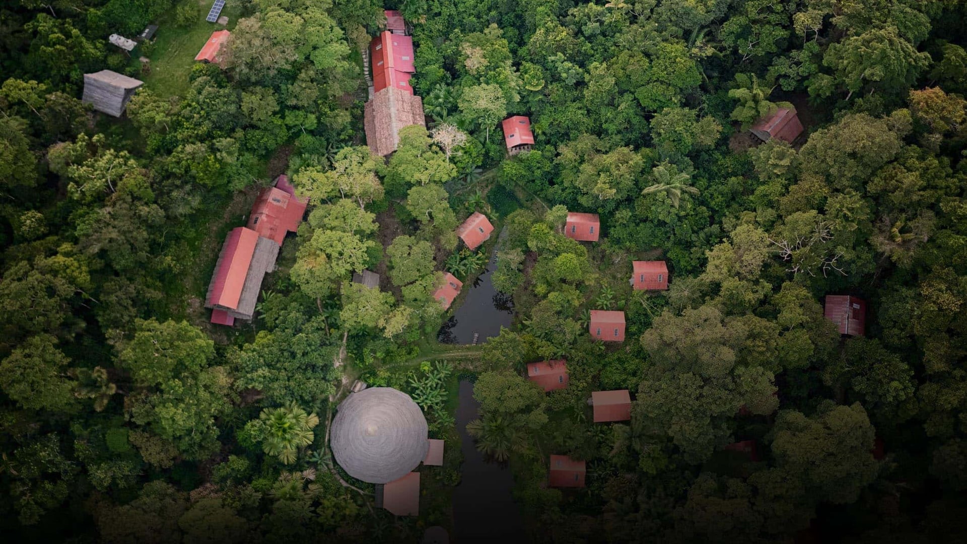 Ayahuasca-healingretreat + 5-dages integrationsretreat