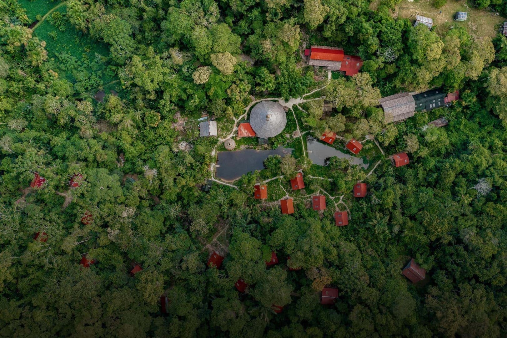 Ayahuasca-retreat for sundhedsprofessionelle 2026