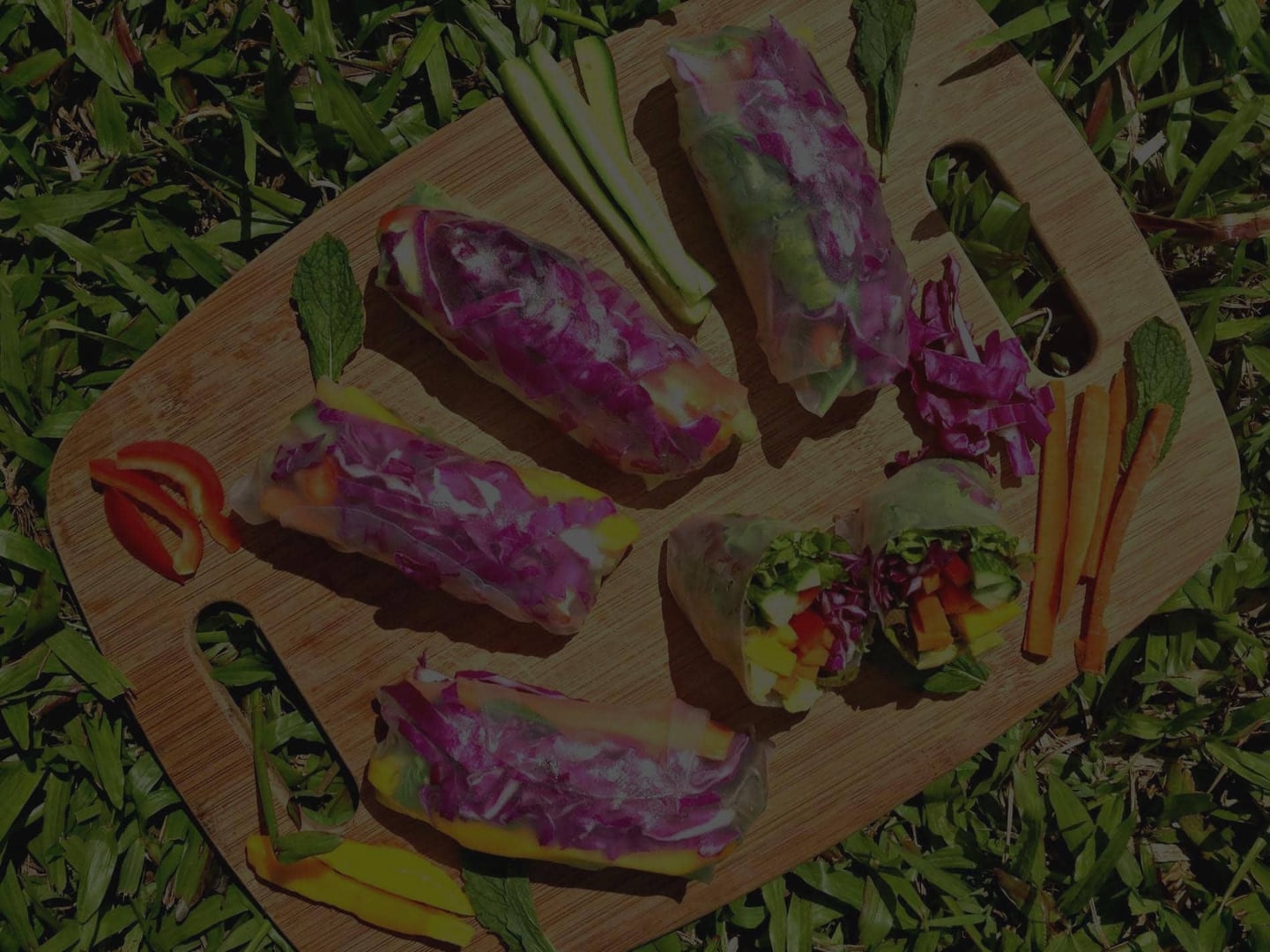 Ayahuasca-retreat for sundhedsprofessionelle 2026