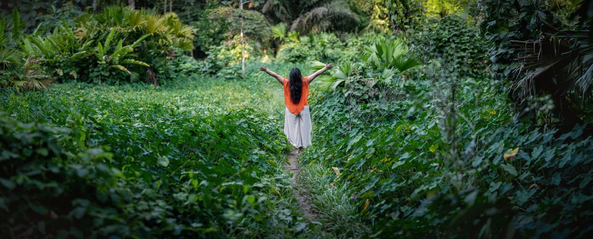Ayahuasca-retreat for sundhedsprofessionelle 2026