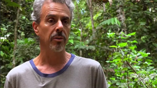 Ayahuasca-retreat for sundhedsprofessionelle 2026
