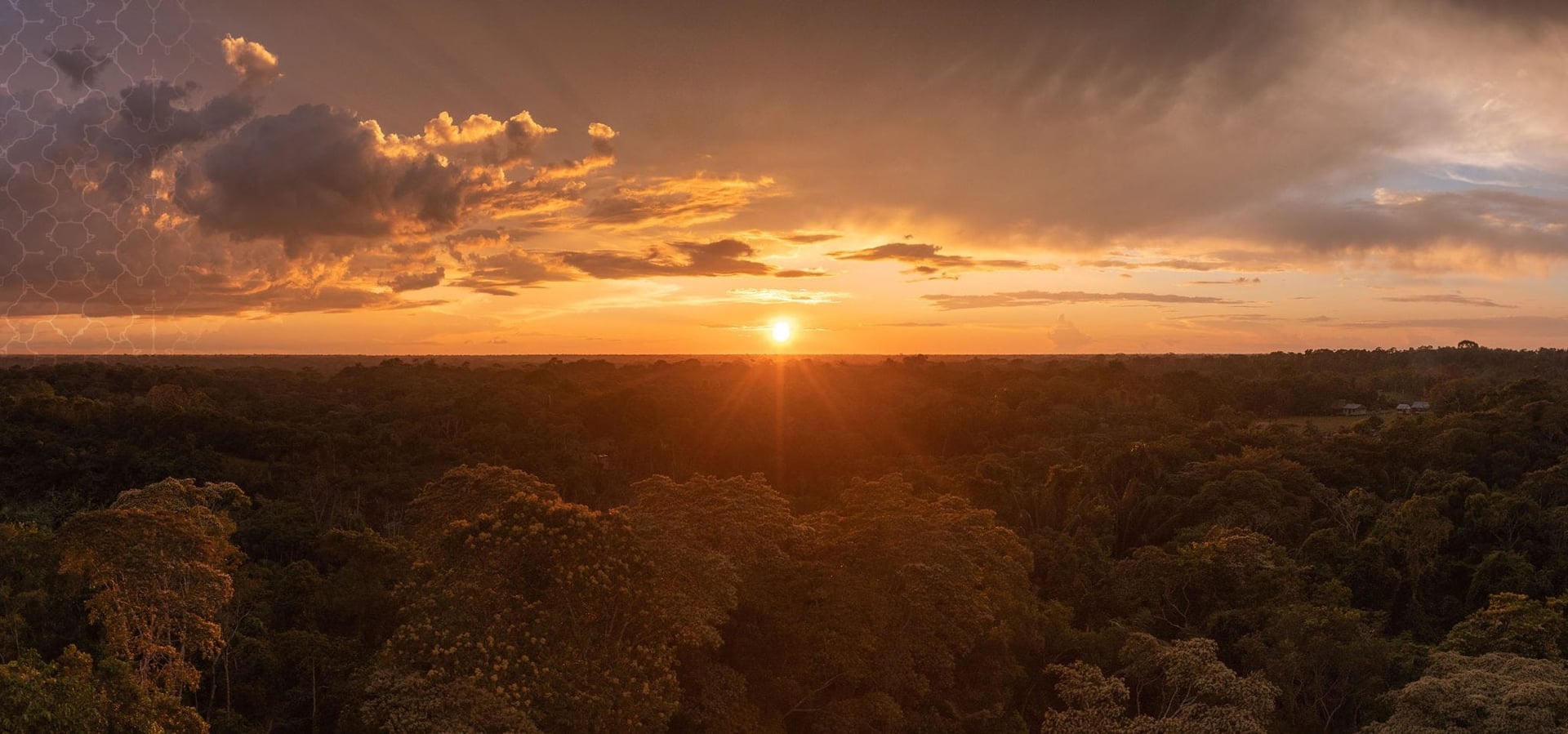 At leve i overensstemmelse Ayahuasca-healingsretreat + 5-dages integrationsforlængelsesretreat