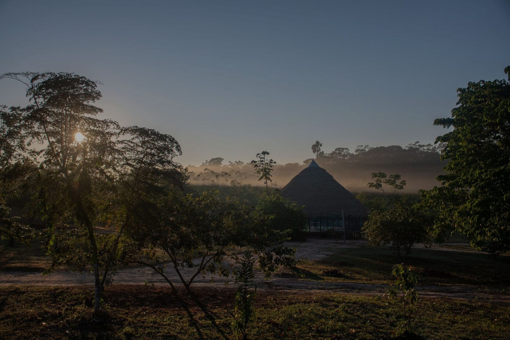 Traditionelle plantedietter hos Shipibo Rao