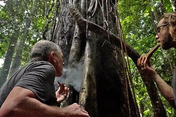 8-ugers ayahuasca-introduktionskursus
