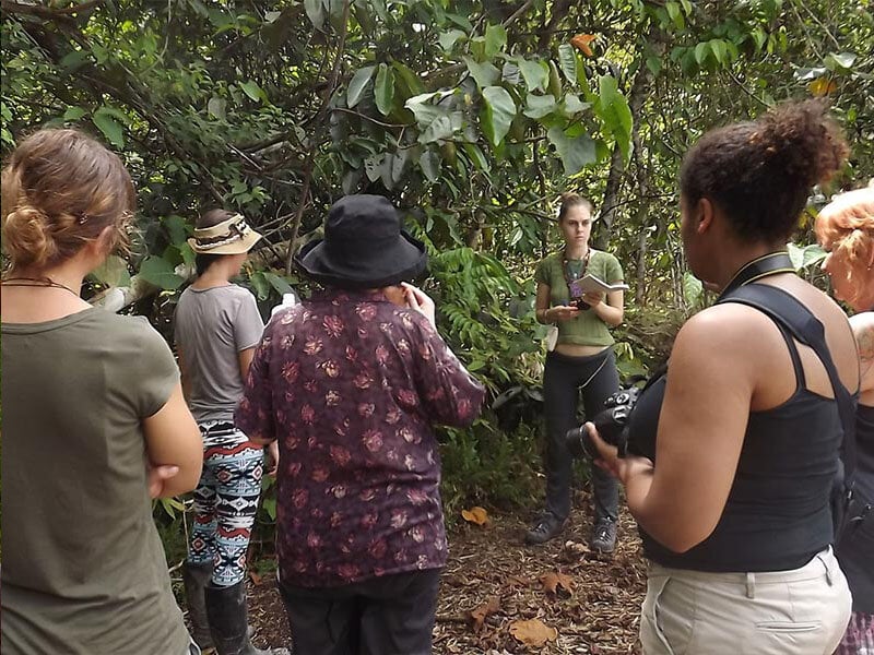 10-dages ayahuasca-retreat for kvinder