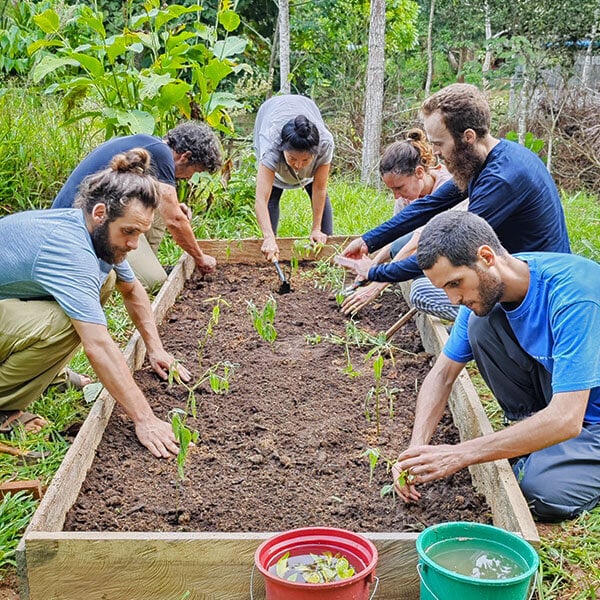 Otte ugers Shipibo-ayahuasca-initieringskursus i Peru – 4. oktober - 28. november 2026