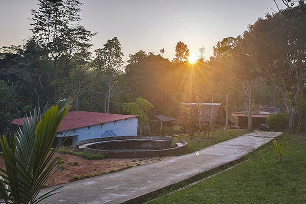 Otte ugers Shipibo-ayahuasca-initieringskursus i Peru – 4. oktober - 28. november 2026