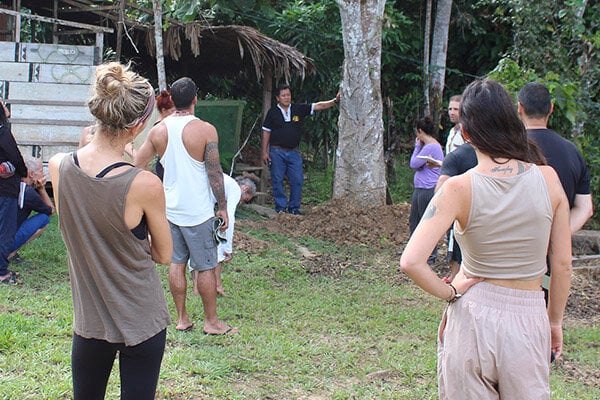 Otte ugers Shipibo-ayahuasca-initieringskursus i Peru – 4. oktober - 28. november 2026