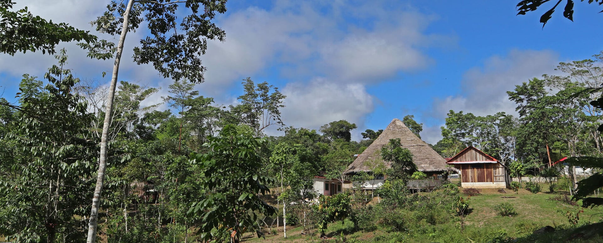 Otte ugers Shipibo-ayahuasca-initieringskursus i Peru – 4. oktober - 28. november 2026