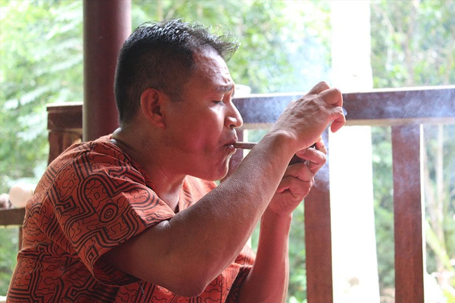 Shipibo ayahuasca-retreat og plante-dieta