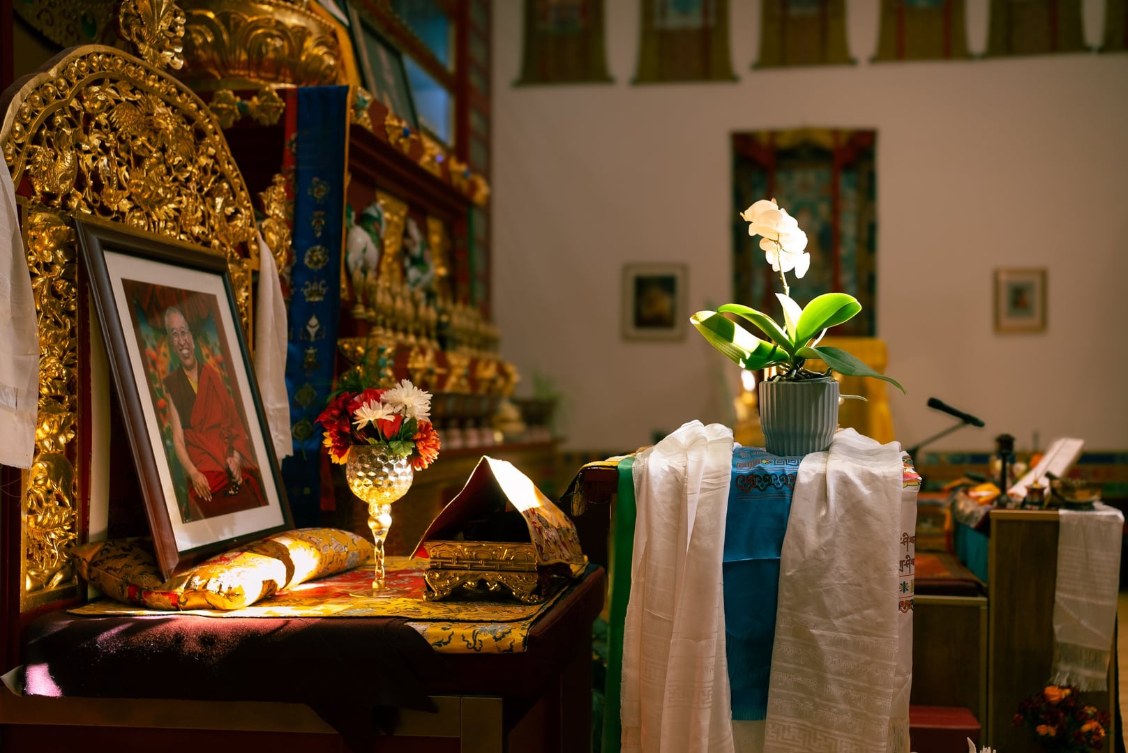 Milarepa: Lærdomme om den bemærkelsesværdige livshistorie om en tibetansk yogi med Ani Lodro