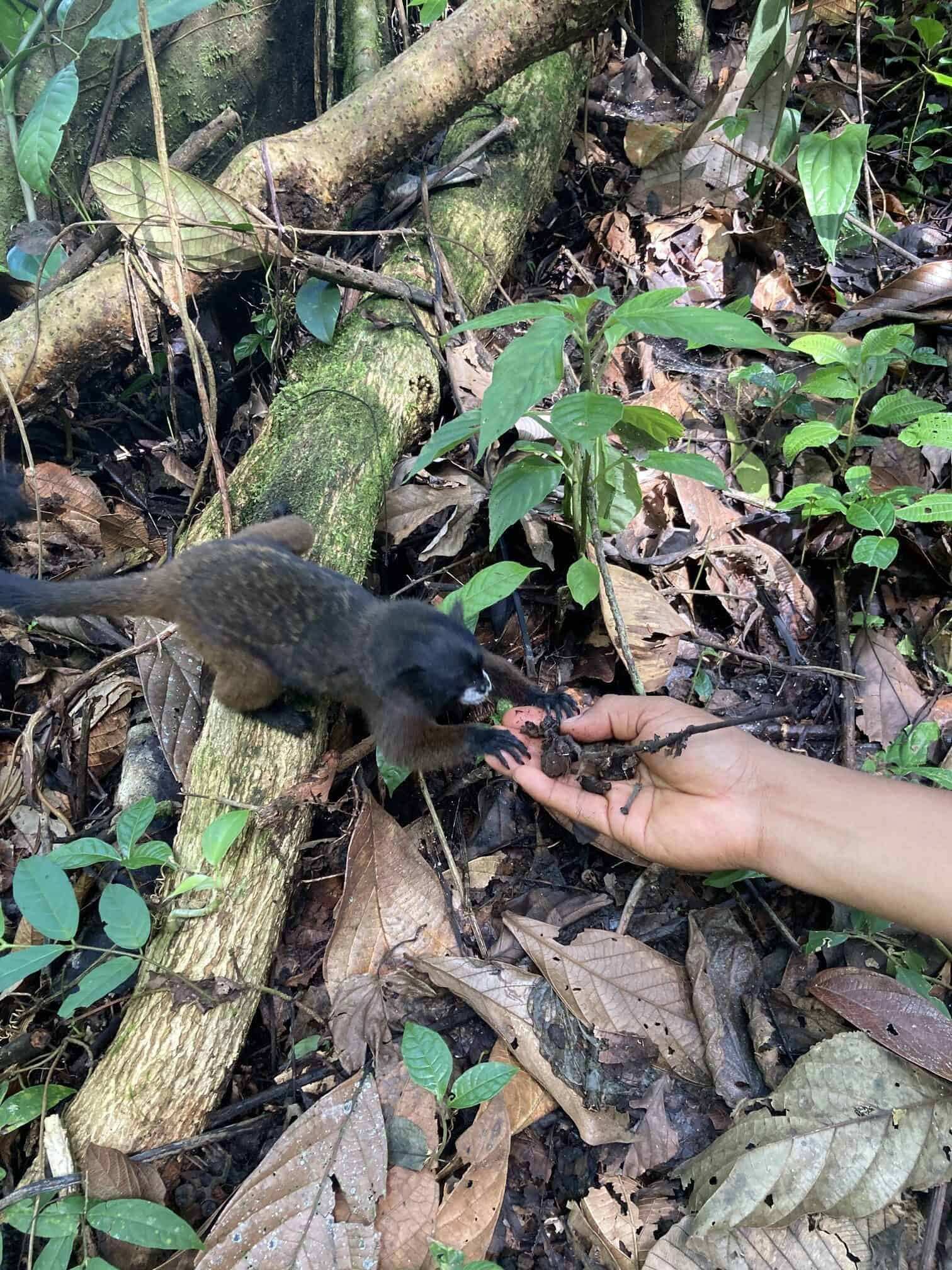 Retreat-forlængelse – oktober