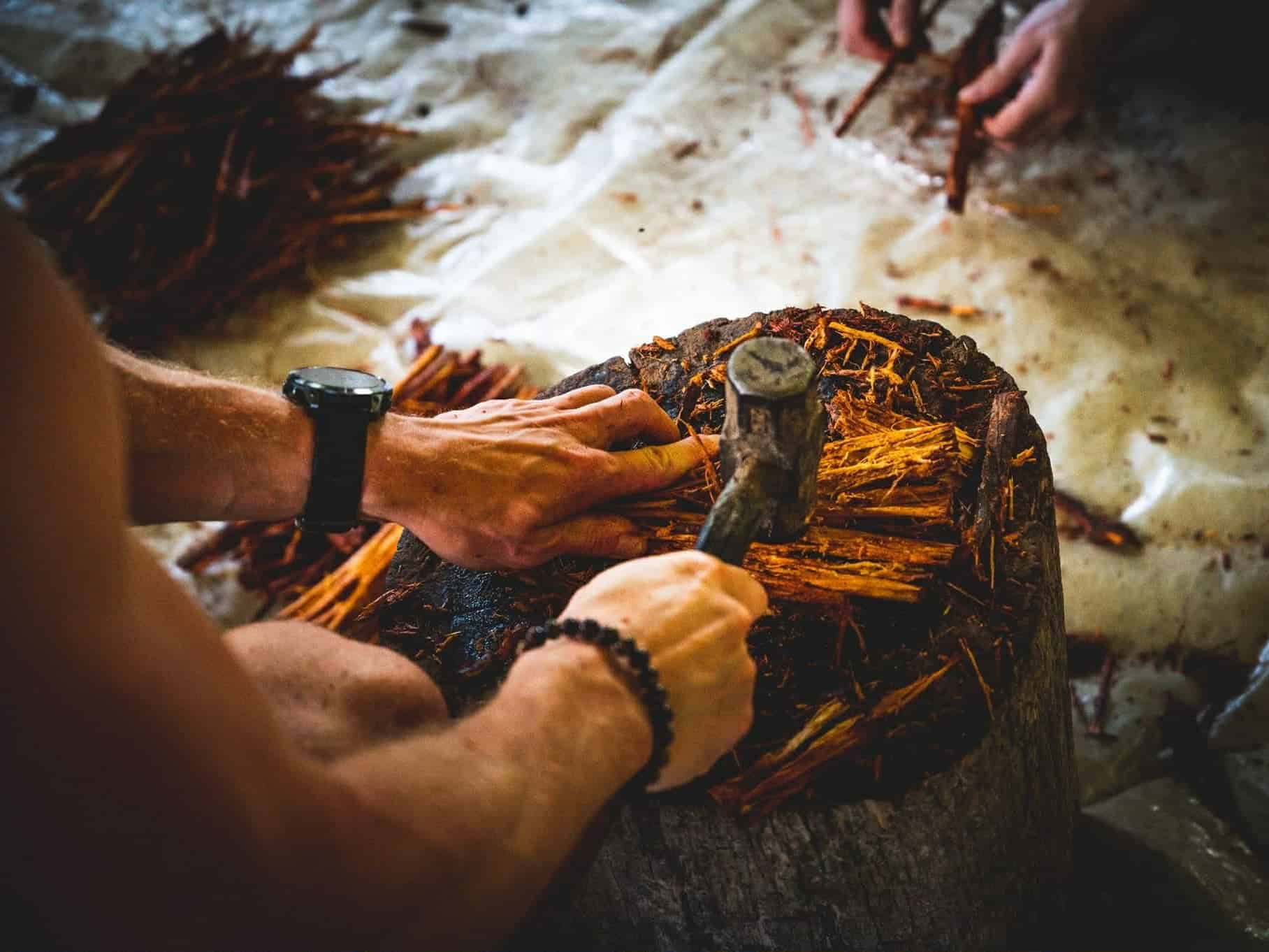 5-dages ayahuasca-retreat i Ecuador