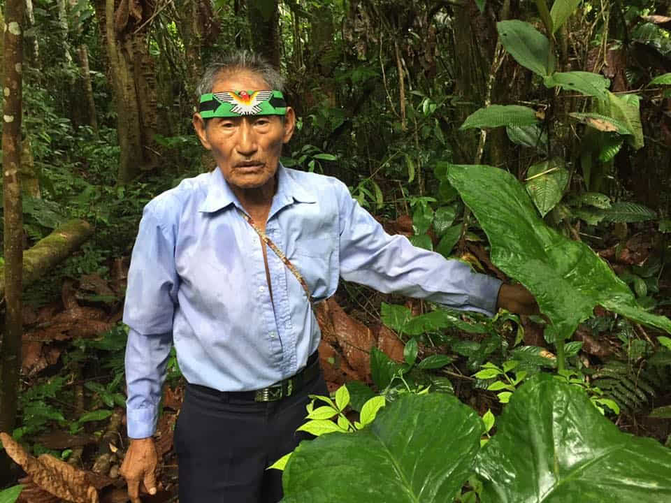 5-dages ayahuasca-retreat i Ecuador