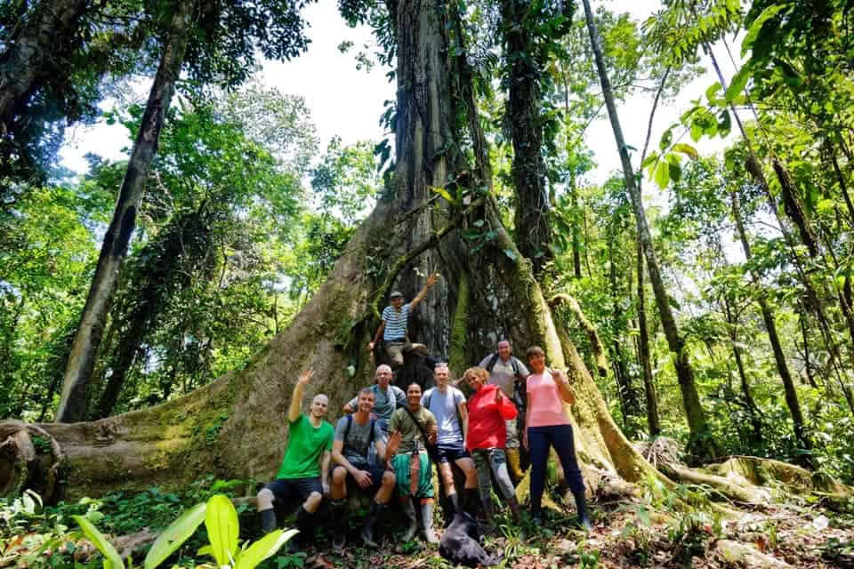 5-dages ayahuasca-retreat i Ecuador