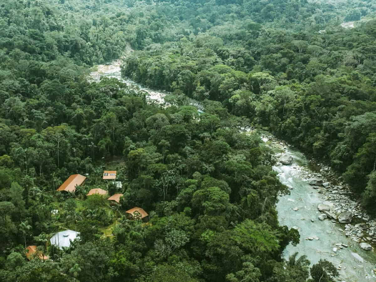 5-dages ayahuasca-retreat i Ecuador