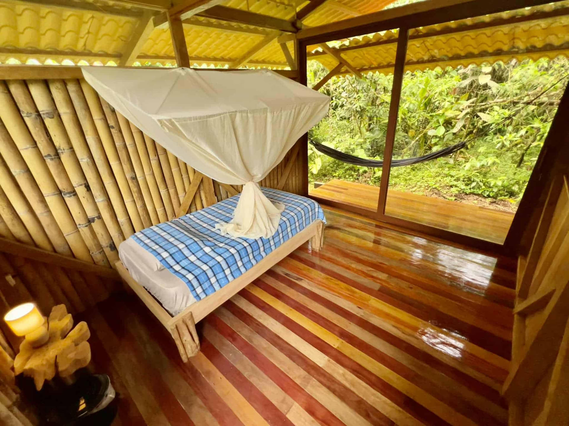 5-dages ayahuasca-retreat i Ecuador