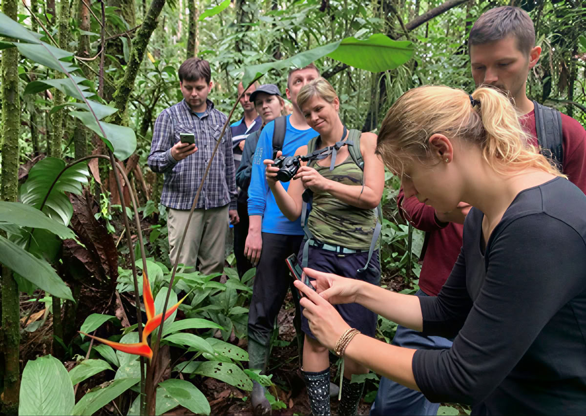 5-dages ayahuasca-retreat i Ecuador