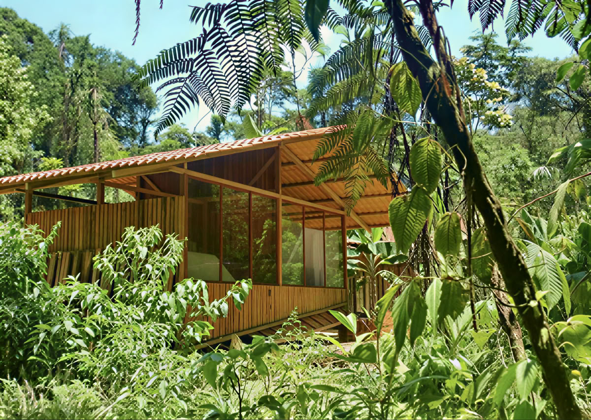 5-dages ayahuasca-retreat i Ecuador