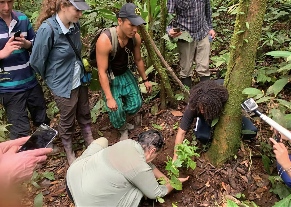 5-dages ayahuasca-retreat i Ecuador