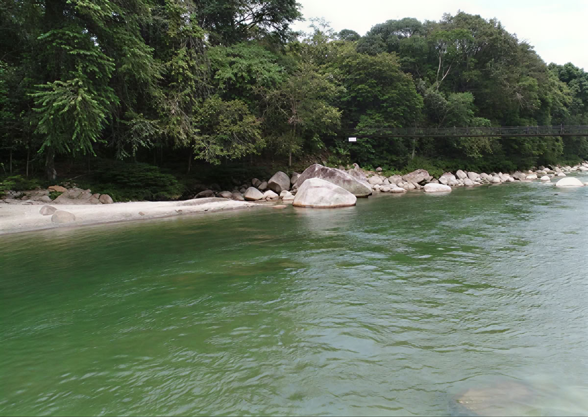 5-dages ayahuasca-retreat i Ecuador