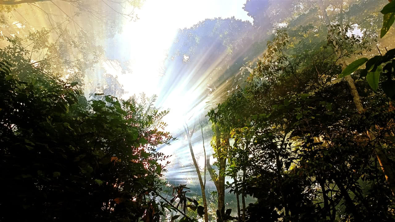 Ayahuasca- og Machu Picchu-retreat på 13 dage
