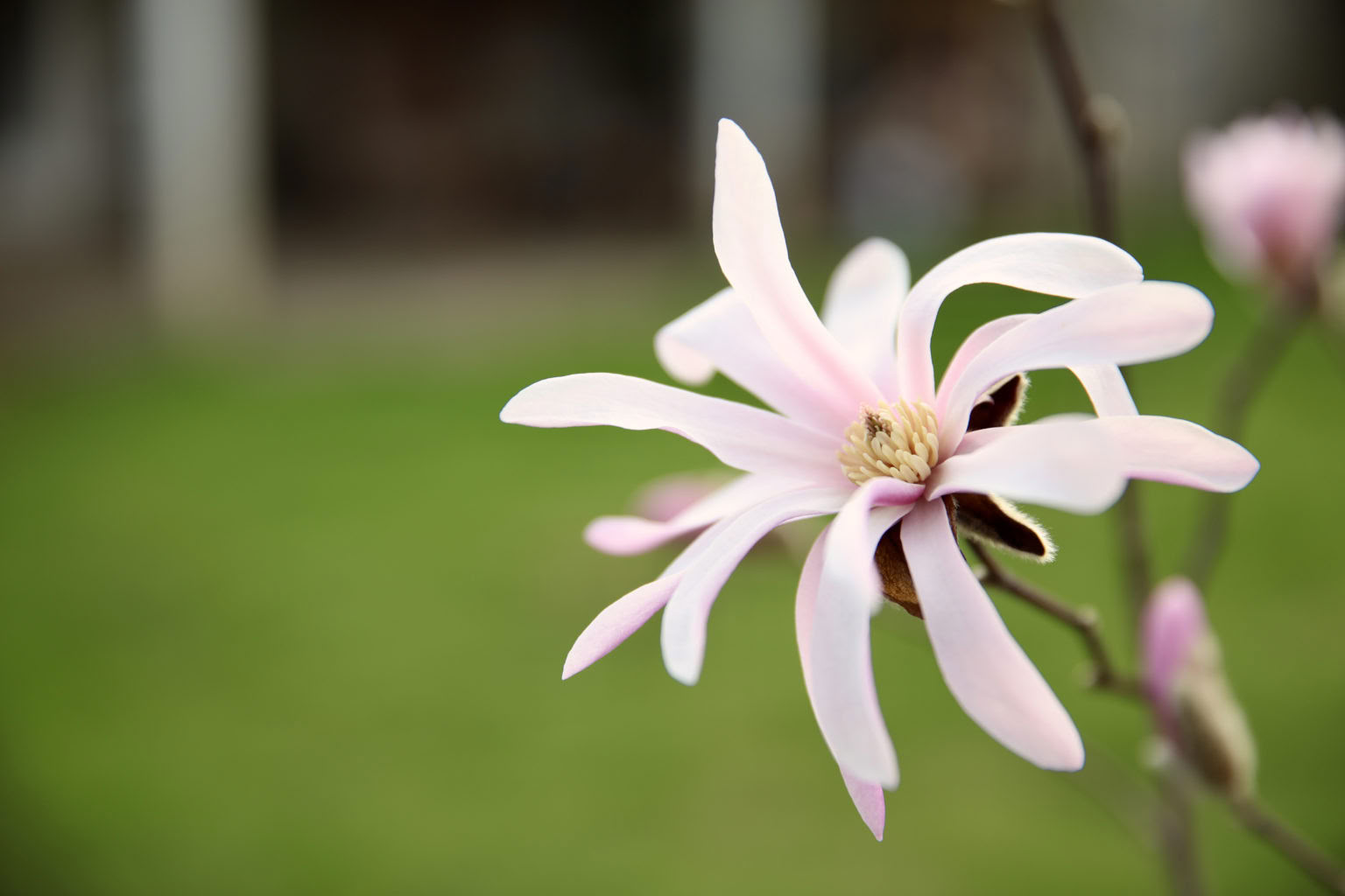 Meditationsretreat-hytte