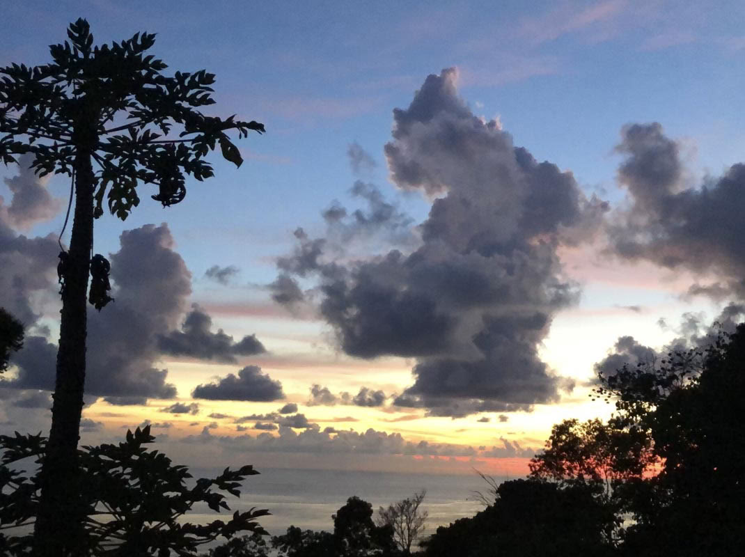 InwardBound Privat Psilocybin-retreat: 4 dage, 2 psilocybin-sessioner – Holland/Costa Rica
