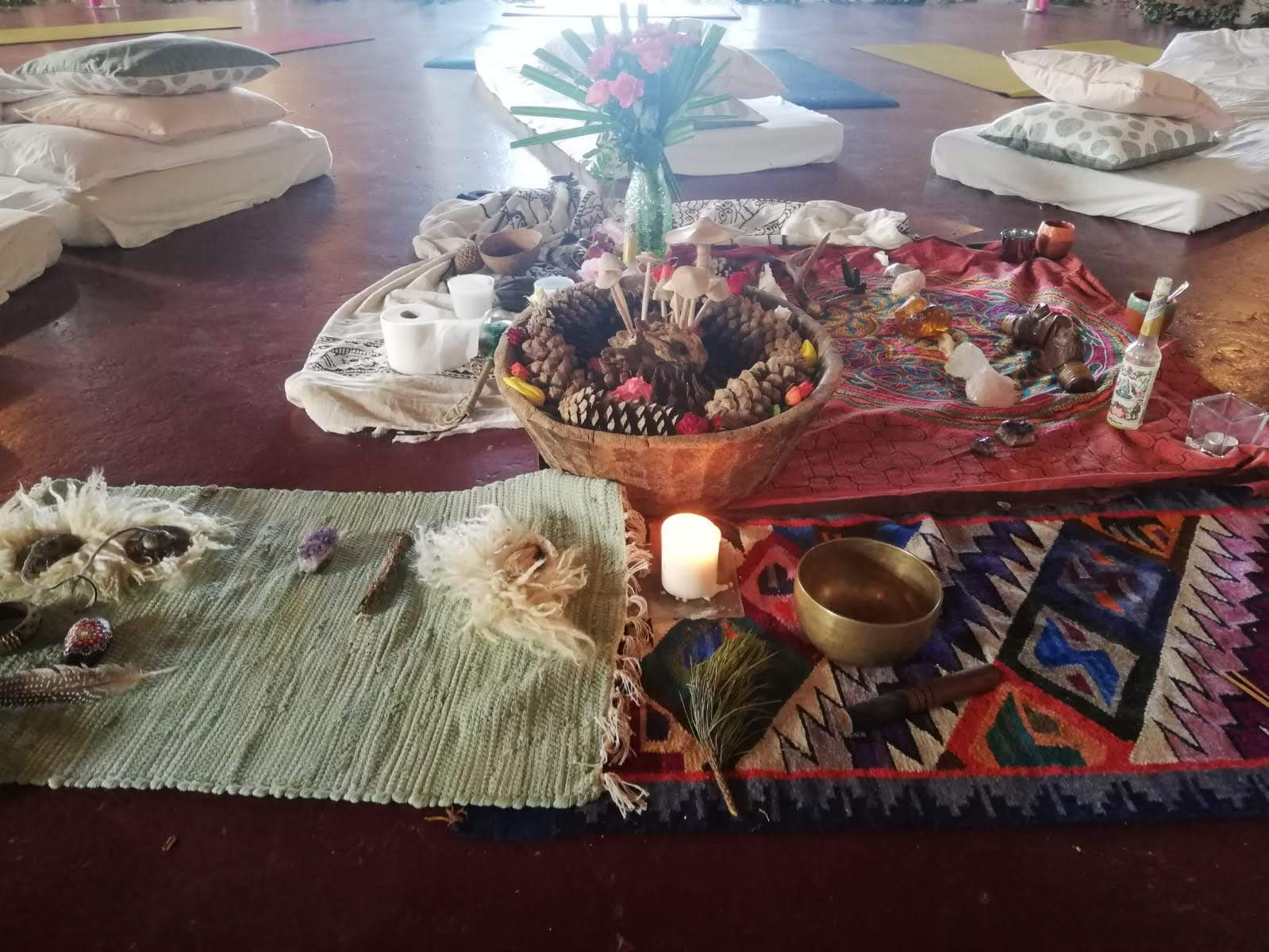 InwardBound Privat Psilocybin-retreat: 4 dage, 2 psilocybin-sessioner – Holland/Costa Rica