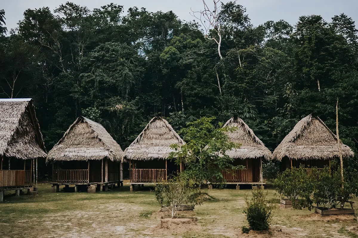 Transformations-ayahuasca-retreat