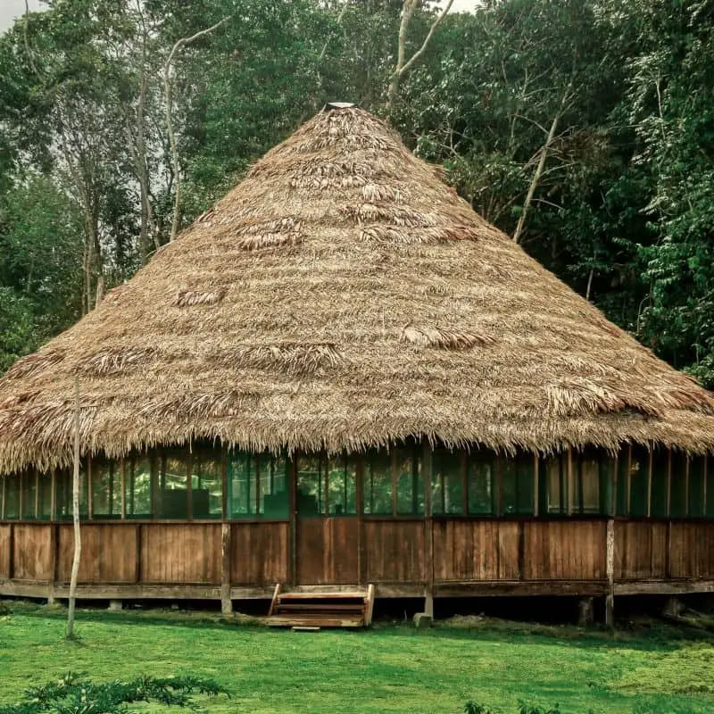 Transformations-ayahuasca-retreat