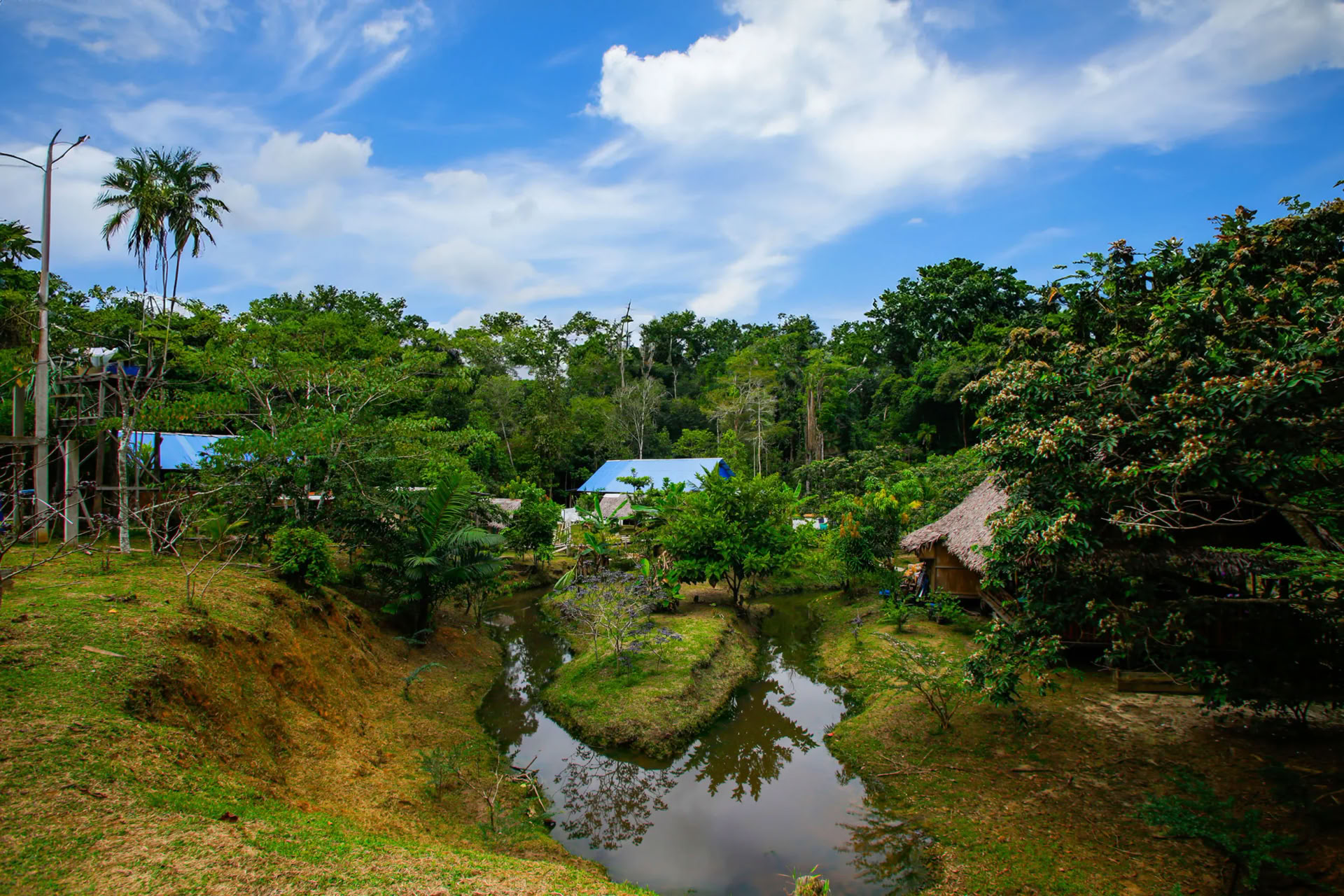 Transformations-ayahuasca-retreat