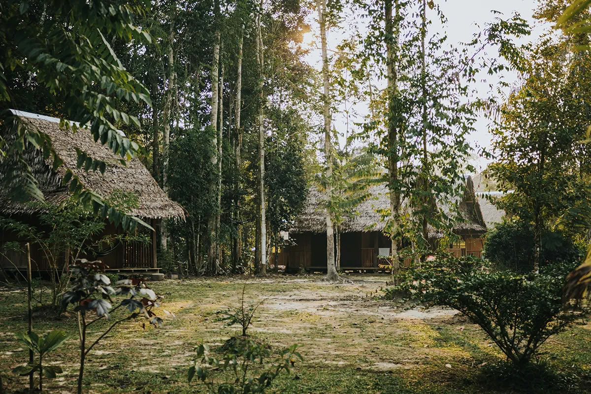 11-dages Noya Rao Lysets Stemme-retreat i Peru – 4. - 14. oktober 2026 | Vokal Udtryk og Spirituel Forbindelse