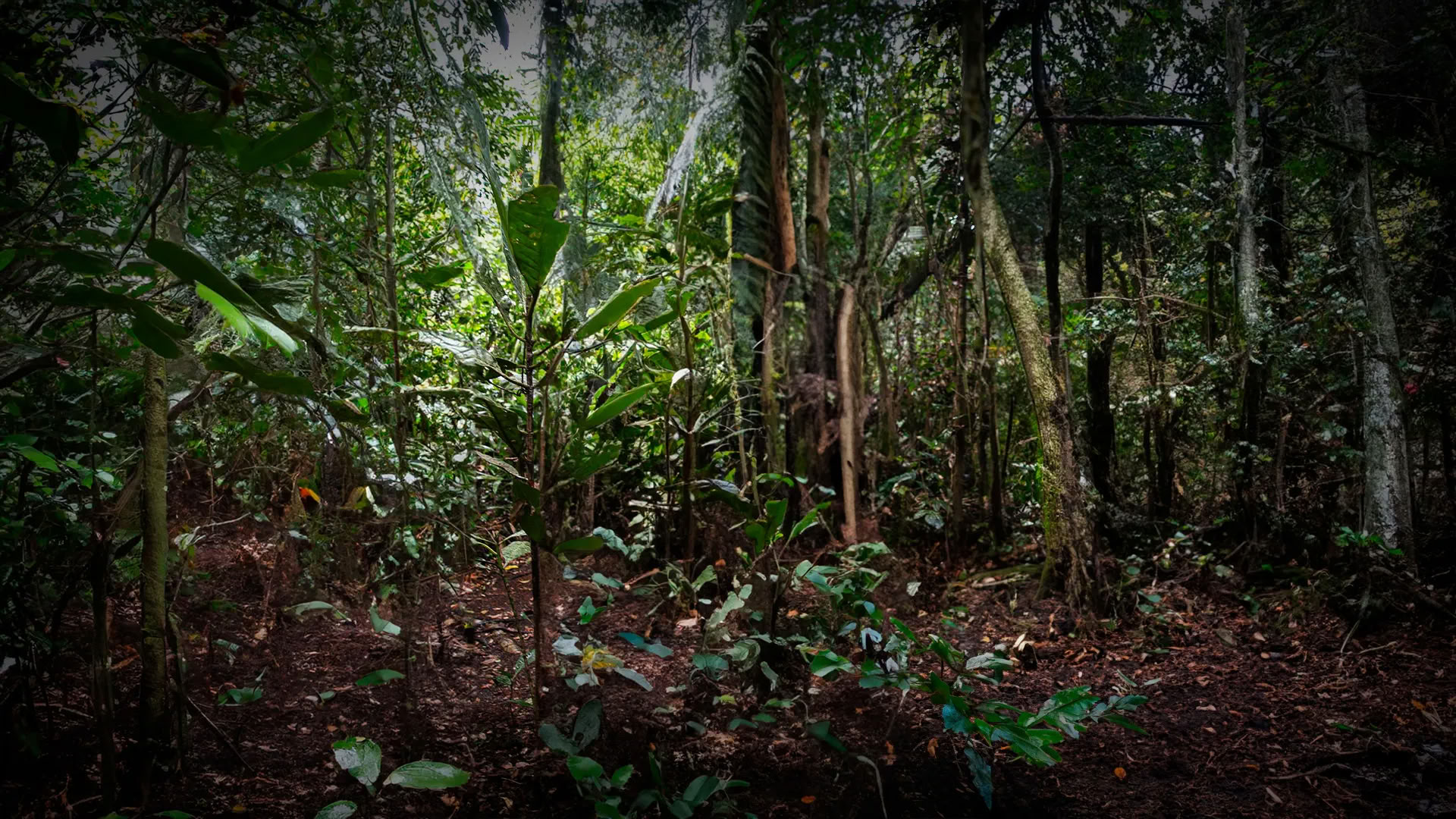 11-dages Noya Rao Lysets Stemme-retreat i Peru – 4. - 14. oktober 2026 | Vokal Udtryk og Spirituel Forbindelse