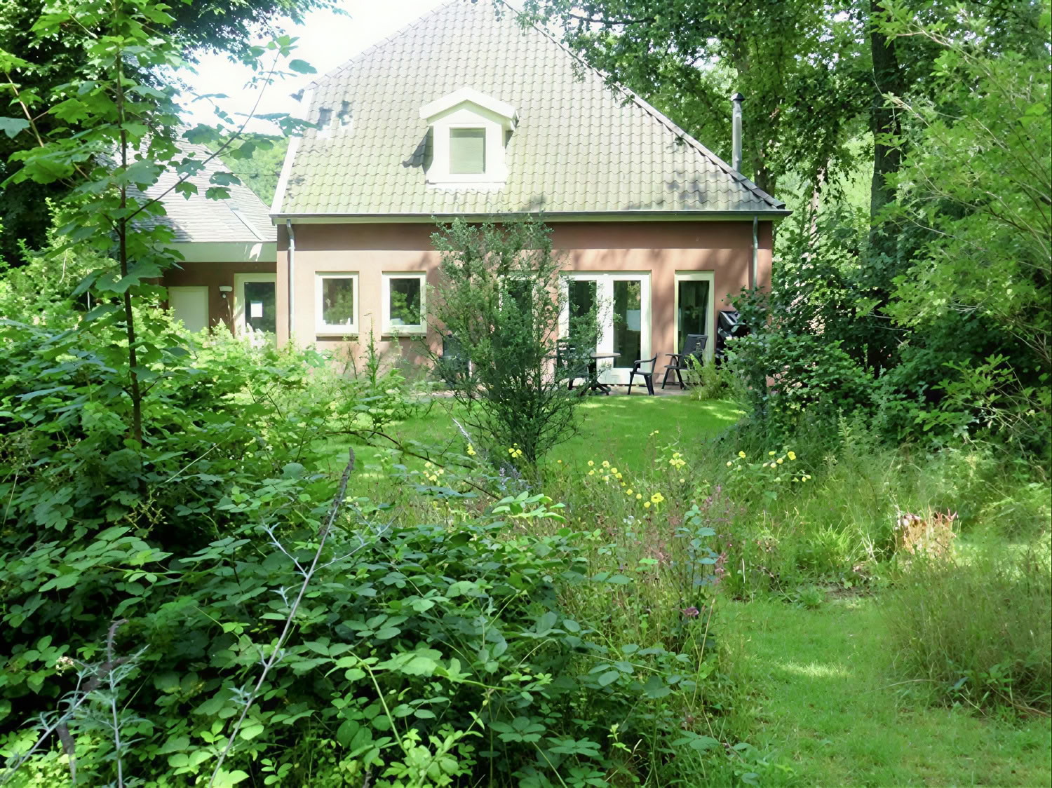 Privat psilocybin-retreat: 4 dage, 2 psilocybin-sessioner