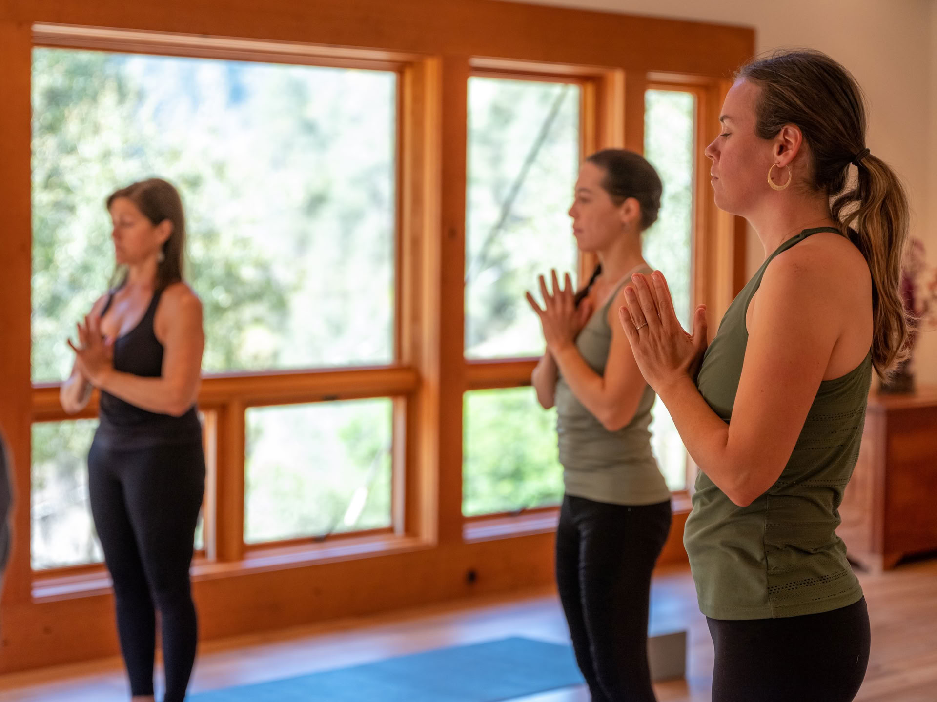 Rødder til modstandskraft: Yoga & det arbejde, der genforbinder