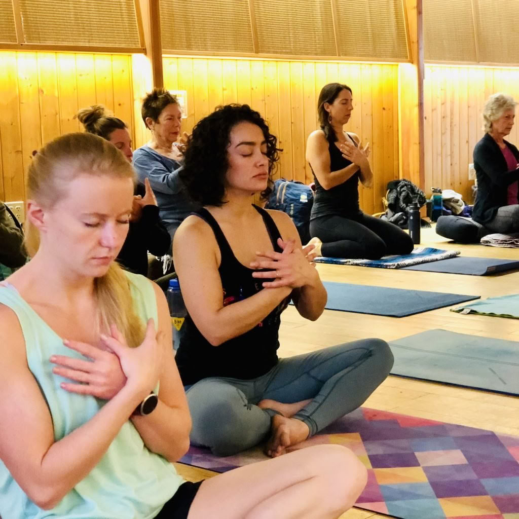22. årlige yoga-jambalaya