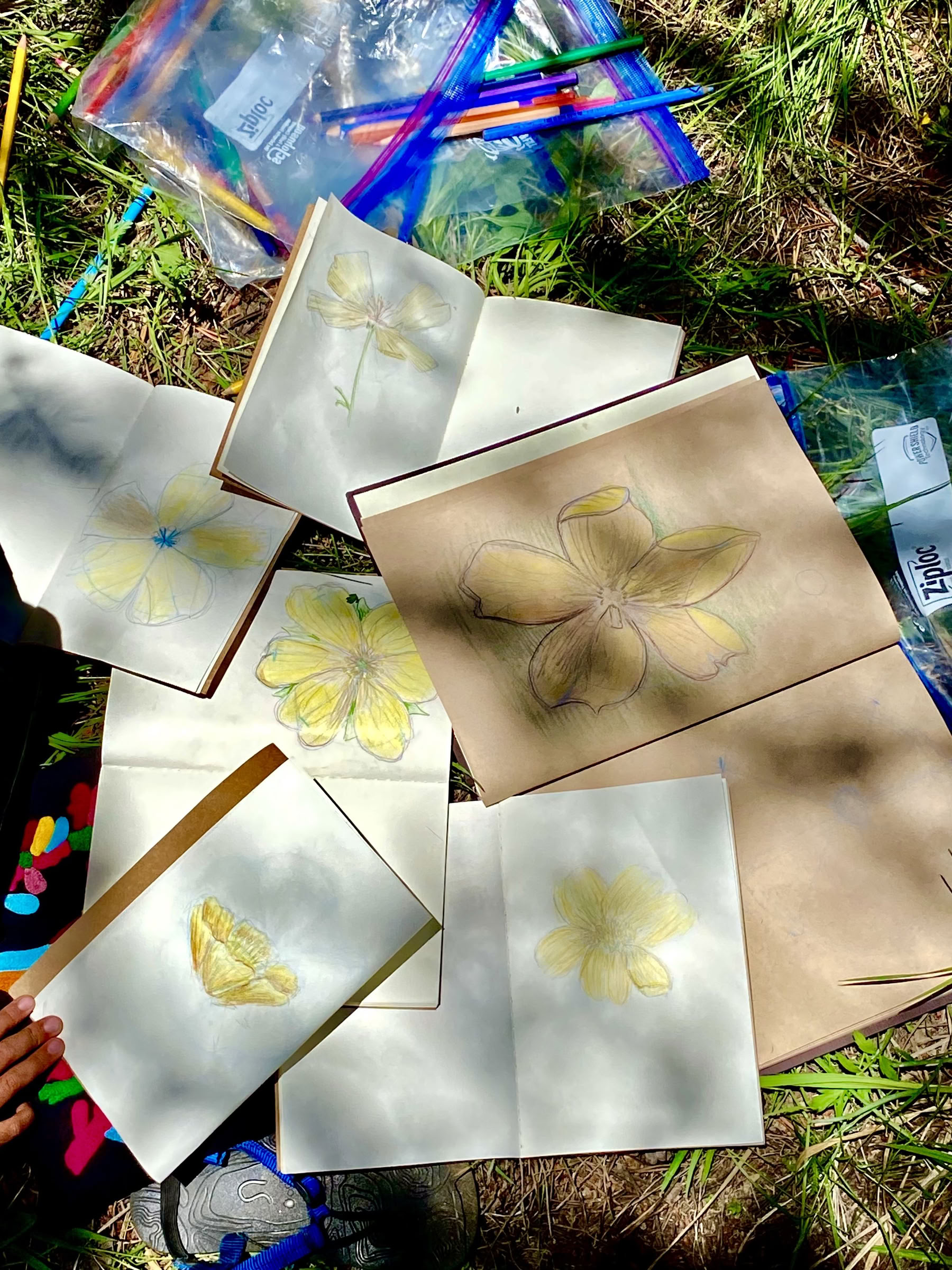 Unge engageret i transformativ undersøgelse: 6-dages vildmarkscampout