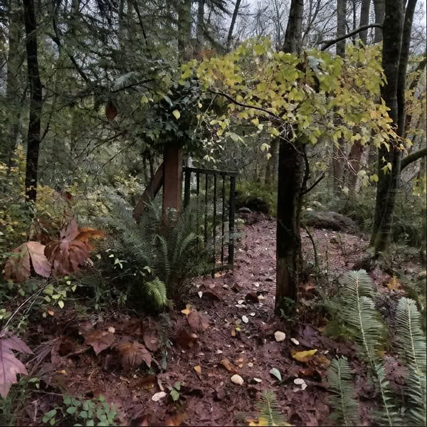 Gavekort