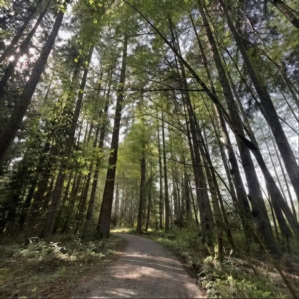 Gavekort