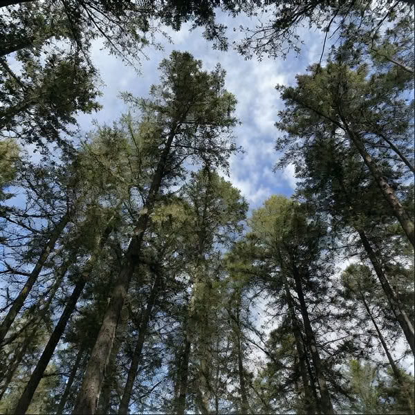Møderum