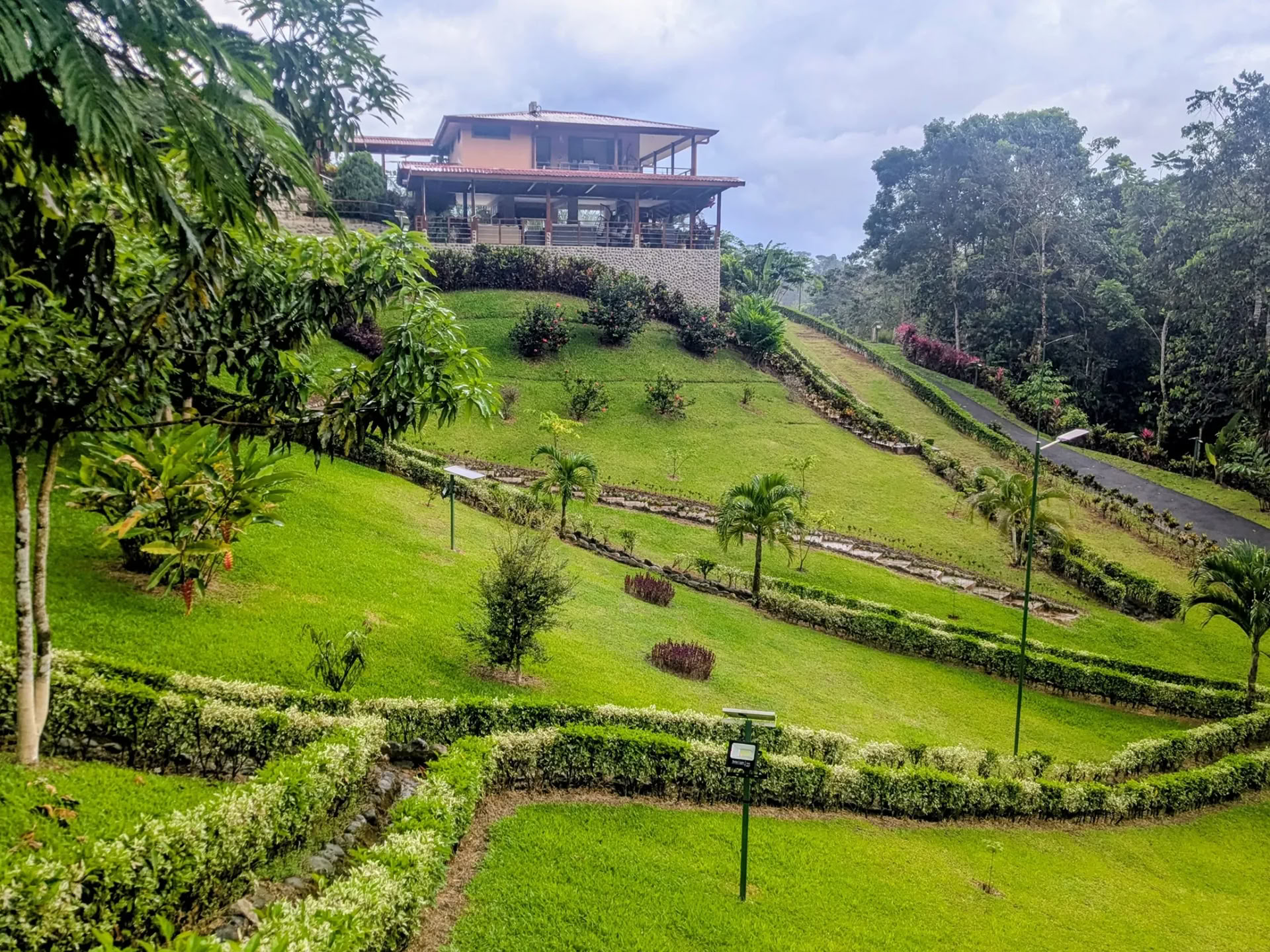 5-nætters ayahuasca-retreat