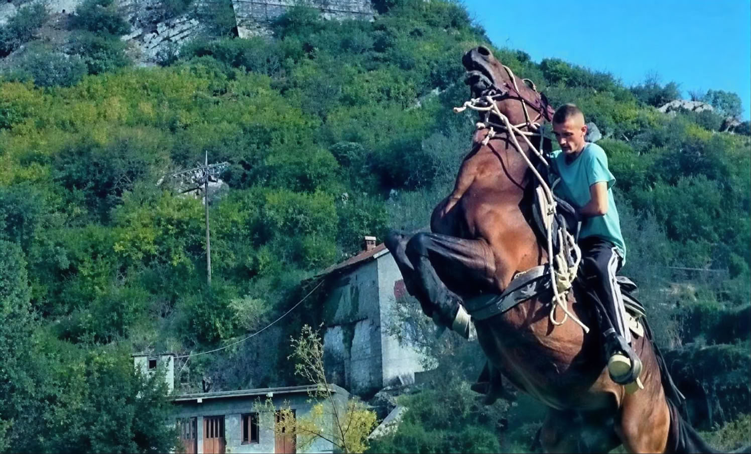 Privat rundvisning i Montenegro-klosteret
