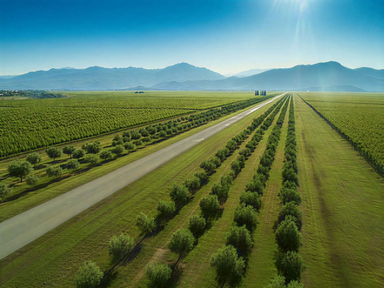 Vintur ad Montenegro-vinruten