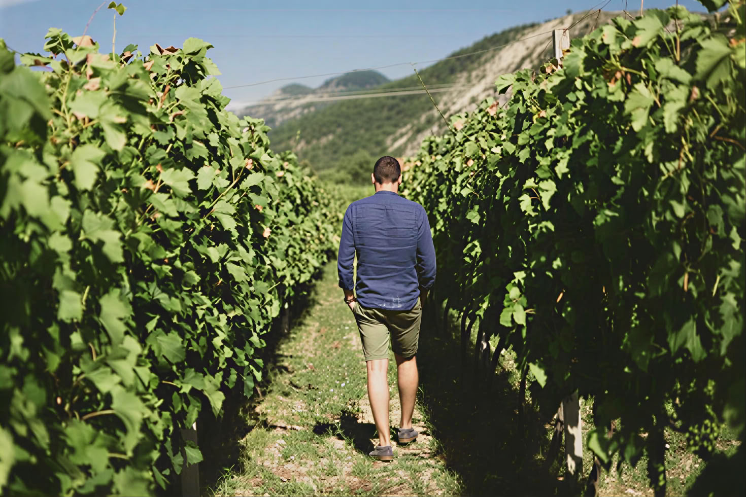 Vintur ad Montenegro-vinruten