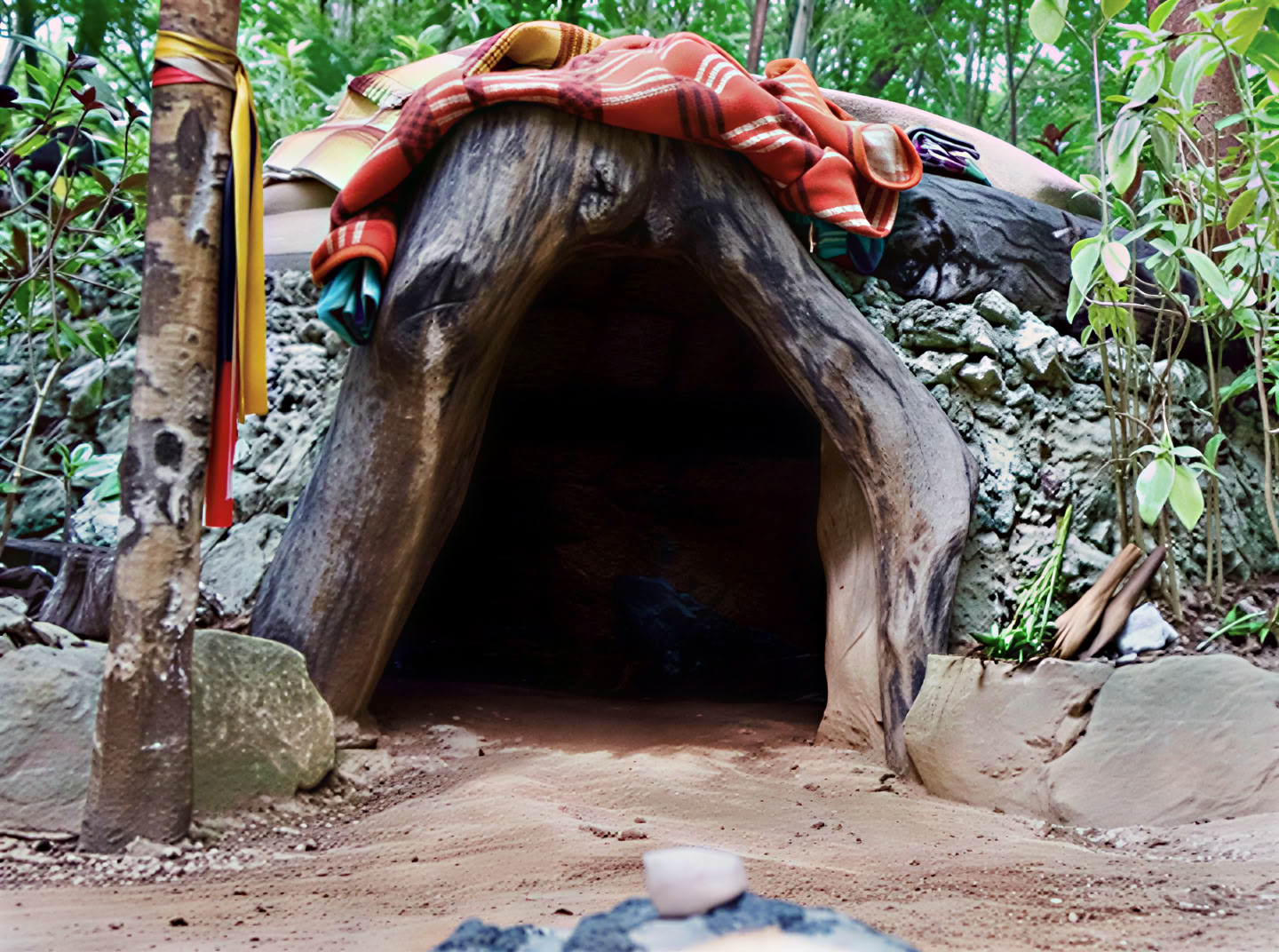 Ayahuasca-retreat i Mexico